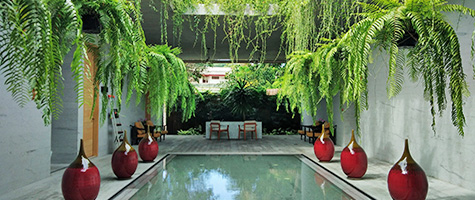 2020N΍sȂᑹE͂͂nt`xsȂXpEGXes[X gsJXpPeace Tropical Spa@TC