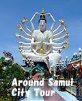 Around koh Samui Sightseeing