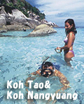 Koh Tao Koh Nangyuang snorkeling !!