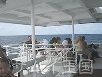 iłfbL@v[{[g Lomprayah Catamaran Boat iv[ViIiAVm[PcA[