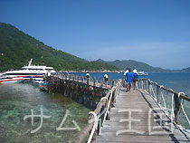 iAɓ v[{[g Lomprayah Catamaran Boat iv[ViIiAVm[PcA[
