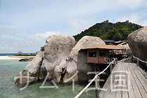 iÃ{[g◯ v[{[g Lomprayah Catamaran Boat iv[ViIiAVm[PcA[